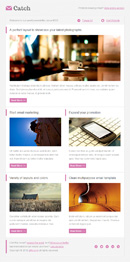 Catch Email Template - 6