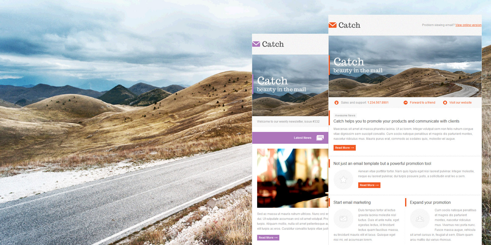 Catch Email Template - Gifky.com
